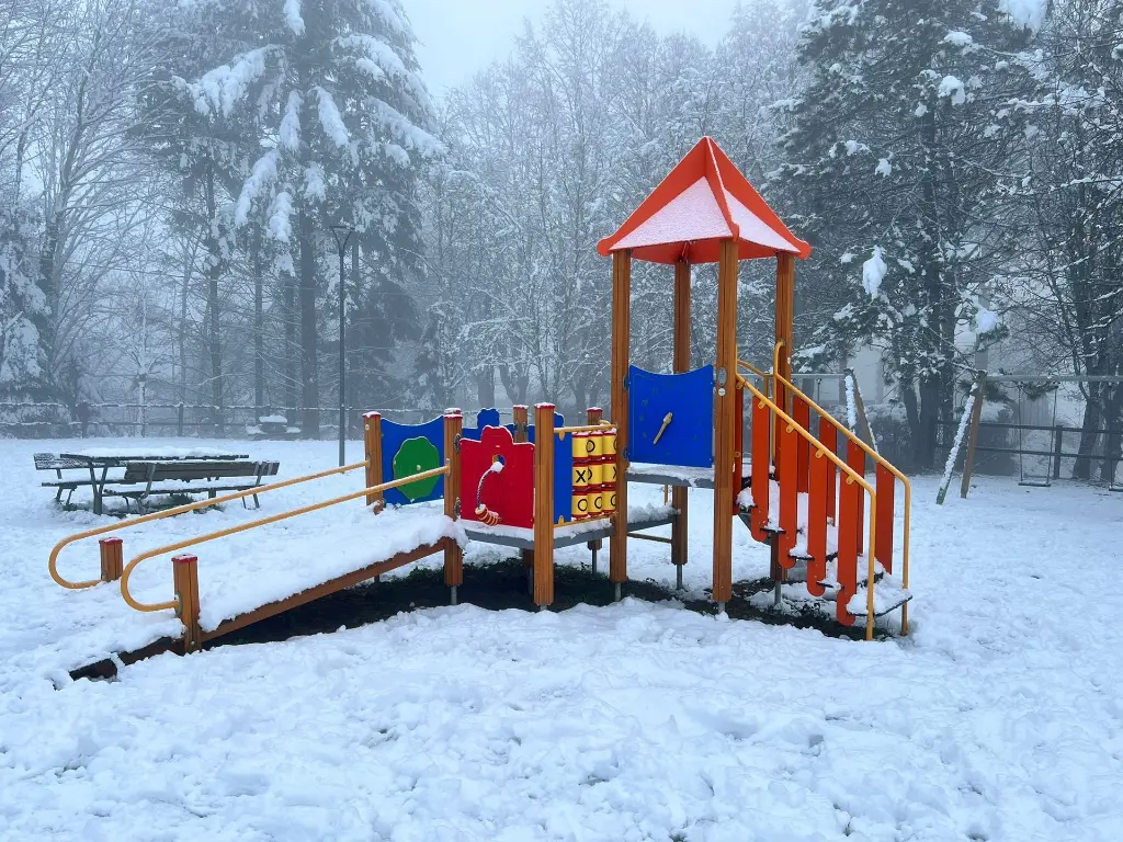 Immagine WhatsApp 2024-12-10 ore 08.43.17_eb863c28 (1).webp