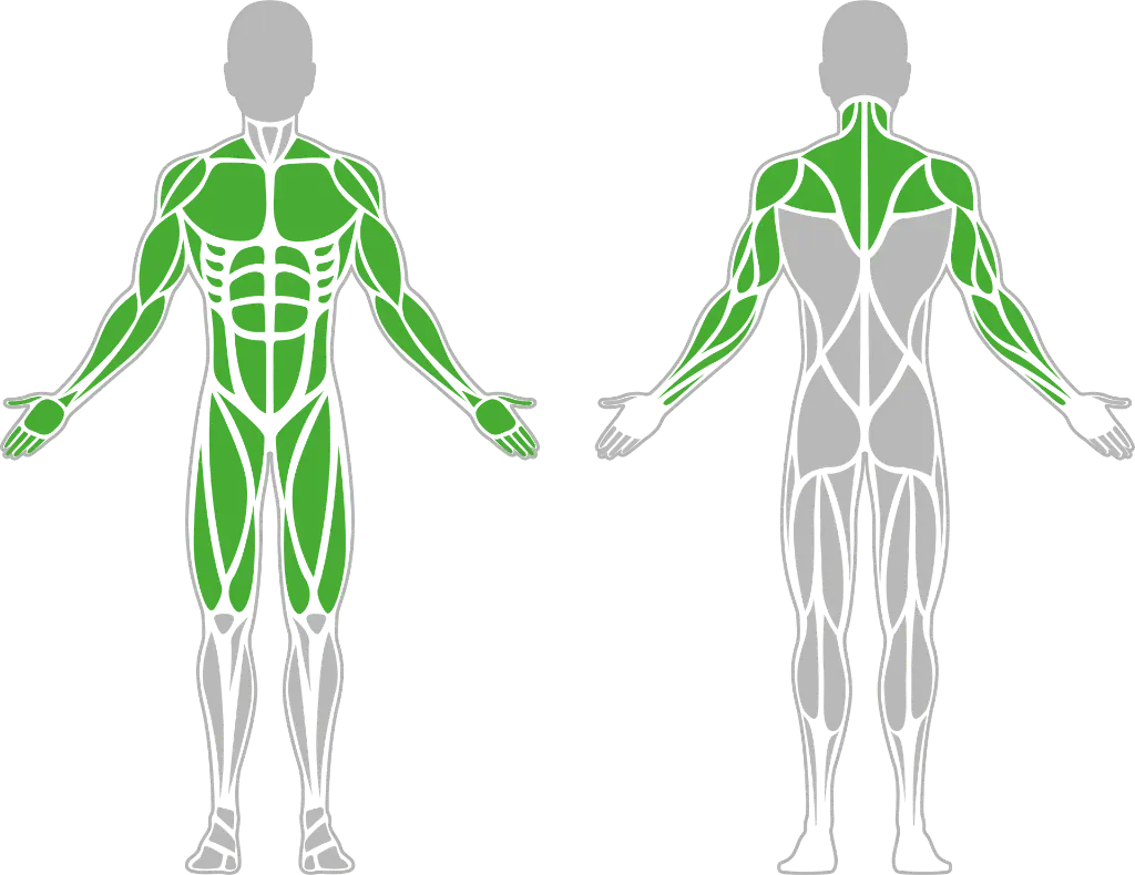 1-1-065 Combined Ladder-BeStrong_Muscle.webp