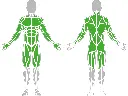 1-1-033-Combined Pull-Up Bar 1500-BeStrong_muscle.webp
