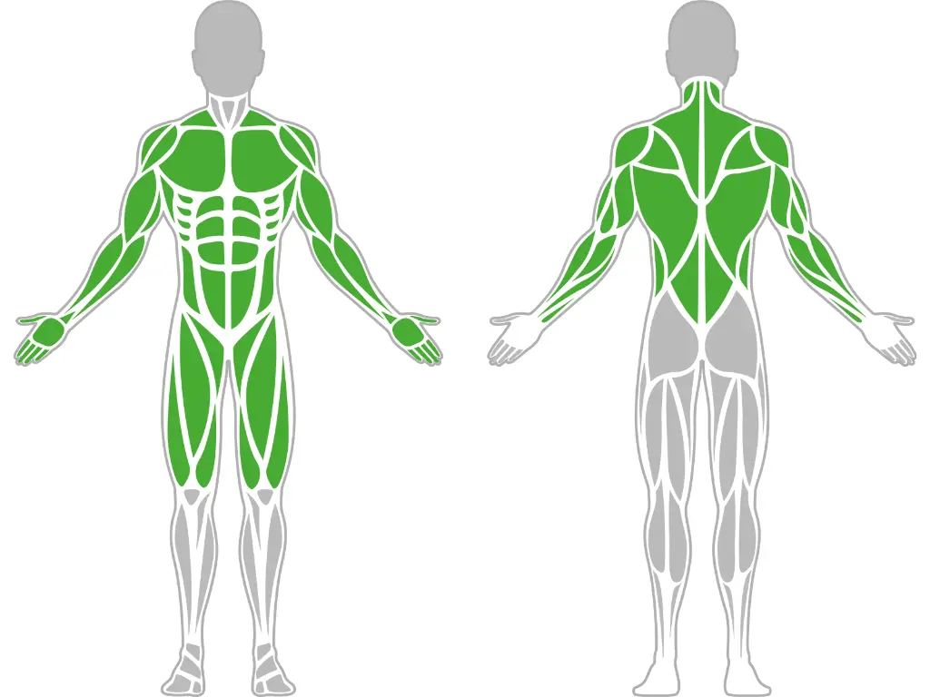 1-1-037-Multifunctional Pull-Up Bar 1500-BeStrong_muscle.webp