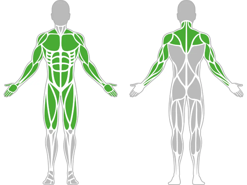 1-1-046-Street Workout Ladder-BeStrong_muscle.webp