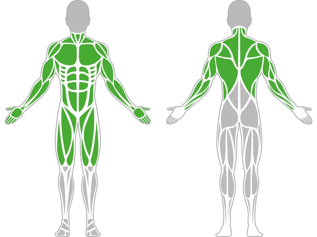 1-1-045-Trapeze Ladder-BeStrong_muscle.webp