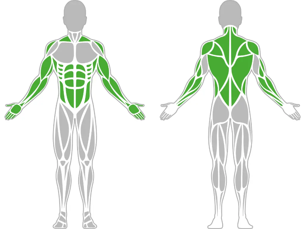 1-1-049-Monkey Rack-BeStrong_muscle.webp