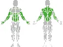 1-1-049-Monkey Rack-BeStrong_muscle.webp