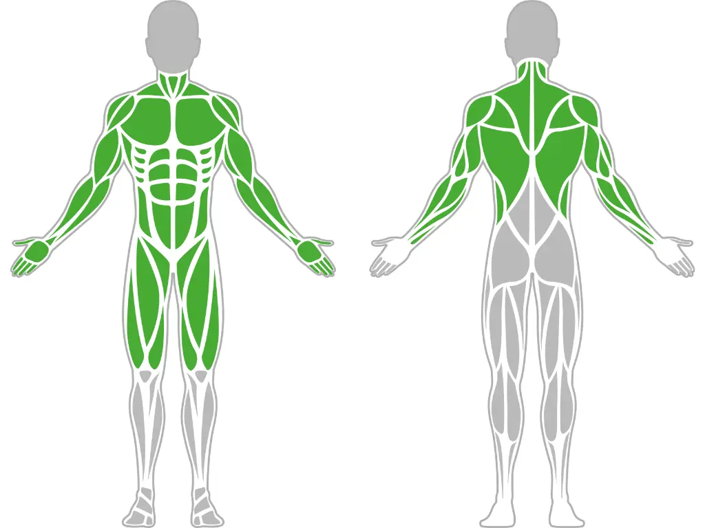 1-1-022-Three Element Parallel Bar 1500-BeStrong_muscle.webp