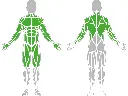 1-1-022-Three Element Parallel Bar 1500-BeStrong_muscle.webp