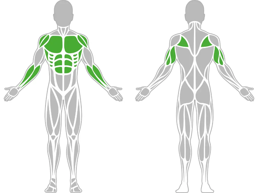 1-1-011-Push-Up-Handrail-BeStrong_muscle.webp