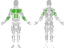 1-1-011-Push-Up-Handrail-BeStrong_muscle.webp