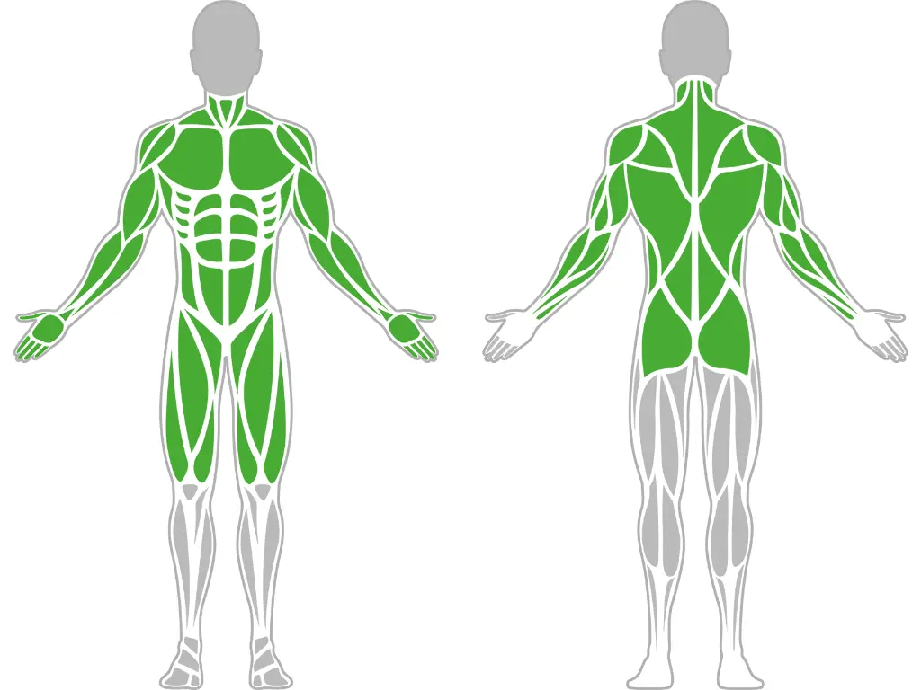 1-1-044-Double Multifunctional Trainer-BeStrong_muscle.webp