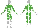 1-1-055-Medicine Ball Target-BeStrong_muscle.webp