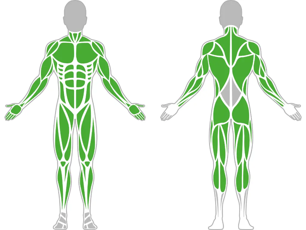 1-1-020-Climbing Rope Frame-BeStrong_muscle.webp