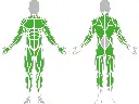 1-1-020-Climbing Rope Frame-BeStrong_muscle.webp