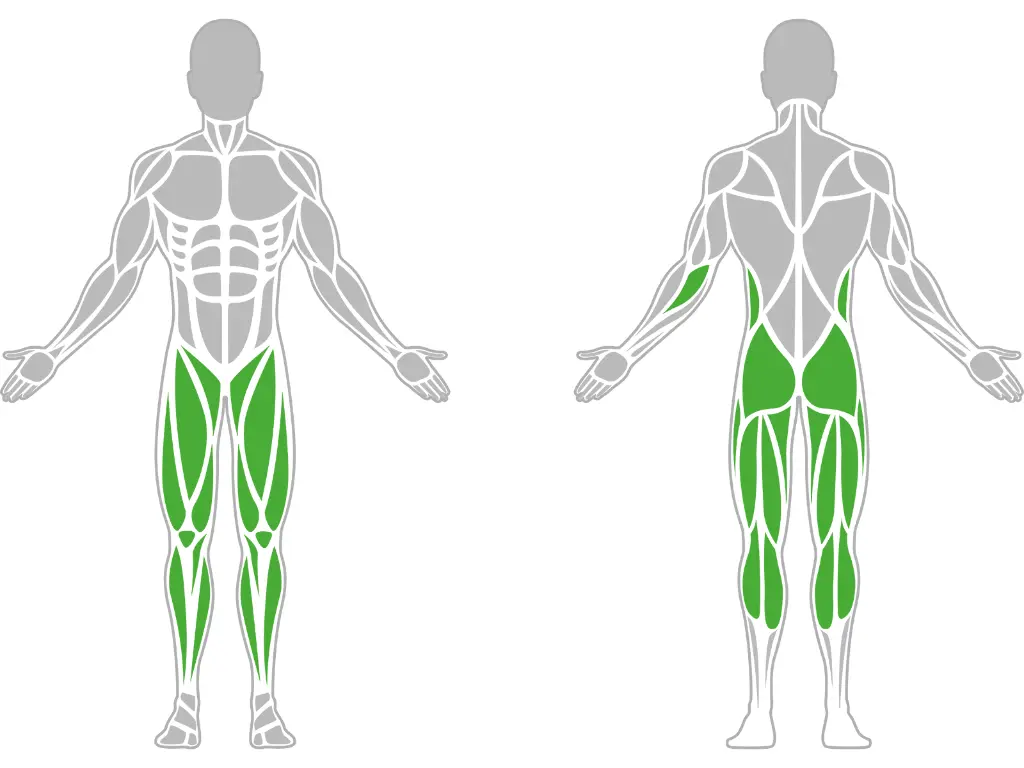 1-1-164-Resistance Band Anchor Pro-BeStrong_muscle.webp
