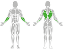 LAT MACHINE
