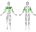 CHEST PRESS