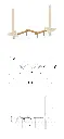 2902.webp