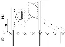 60003EPZ_SV.webp