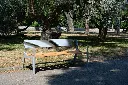 streetpark-lavicka-berga-LBG23-07.webp