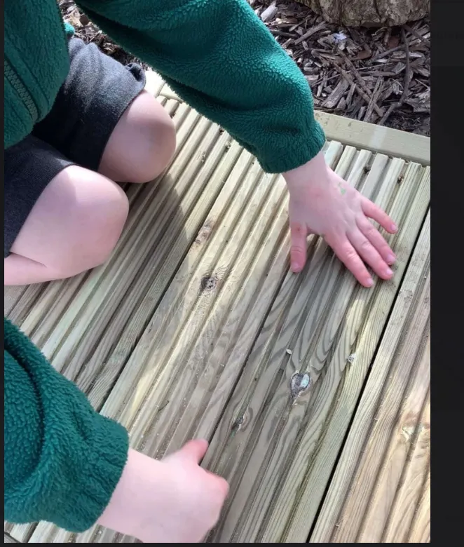 Screenshot 2026-03-06 163013.webp