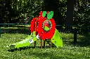 Scivolo mela.webp