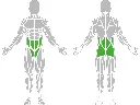 1-1-302-Hip Swing-BeStrong_muscle.webp