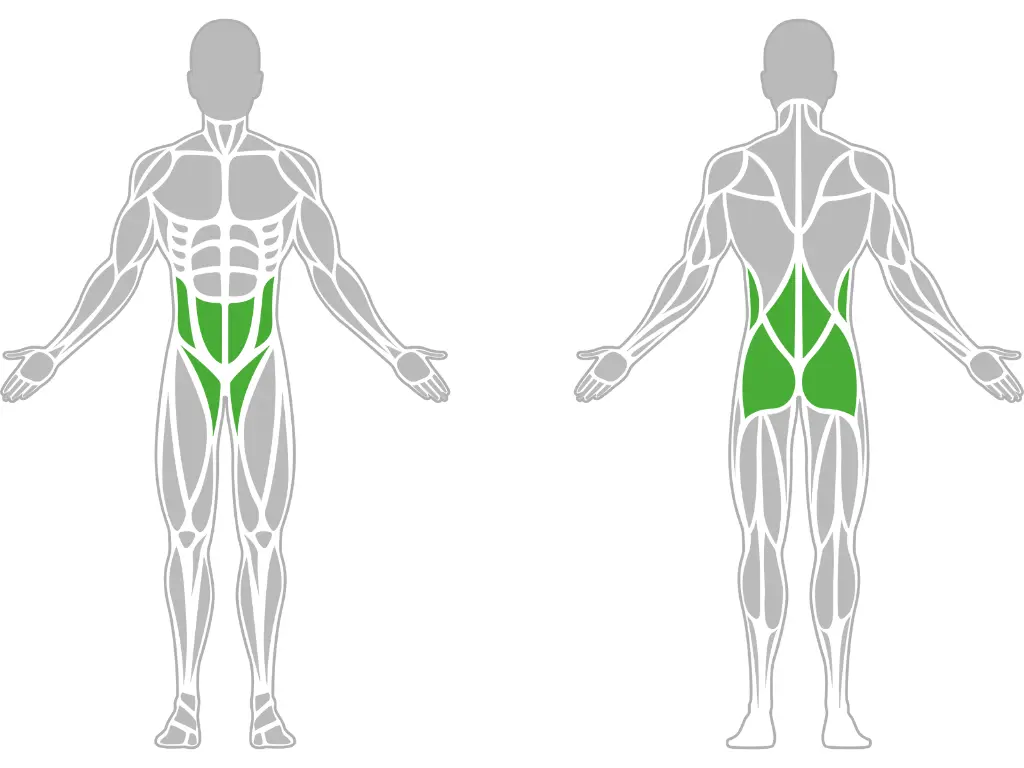 1-1-301-Leg Abductor-BeStrong_muscle.webp
