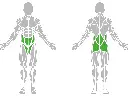 1-1-301-Leg Abductor-BeStrong_muscle.webp