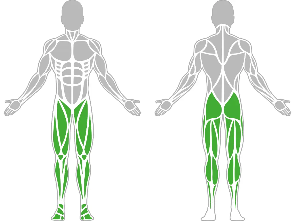 1-1-304-Air Walker-BeStrong_muscle.webp