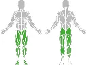 1-1-304-Air Walker-BeStrong_muscle.webp
