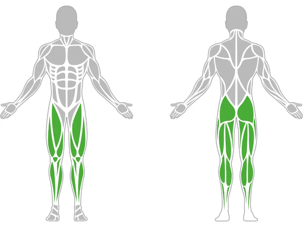 1-1-303-Leg Abductor And Hip Swing-BeStrong_muscle.webp
