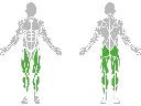 1-1-303-Leg Abductor And Hip Swing-BeStrong_muscle.webp