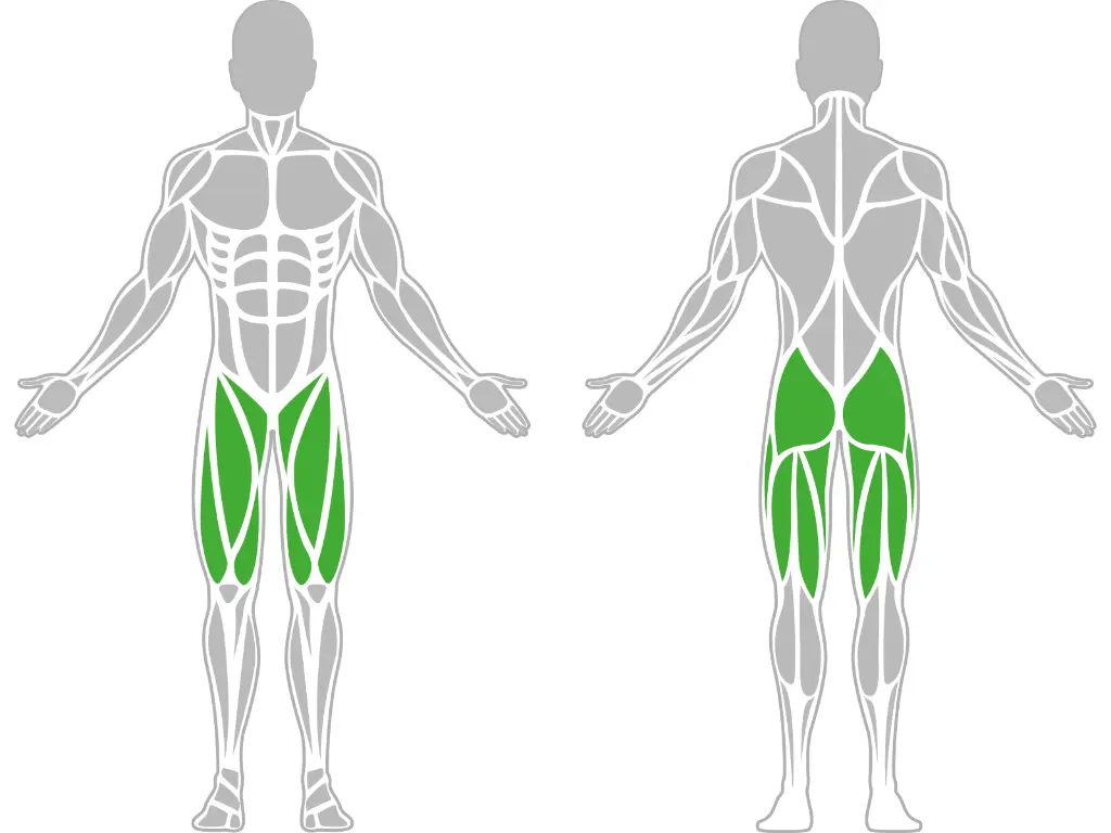 1-1-309-Leg Press-BeStrong_muscle.webp