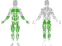 1-1-161-Balance Board Pro-BeStrong_muscle.webp