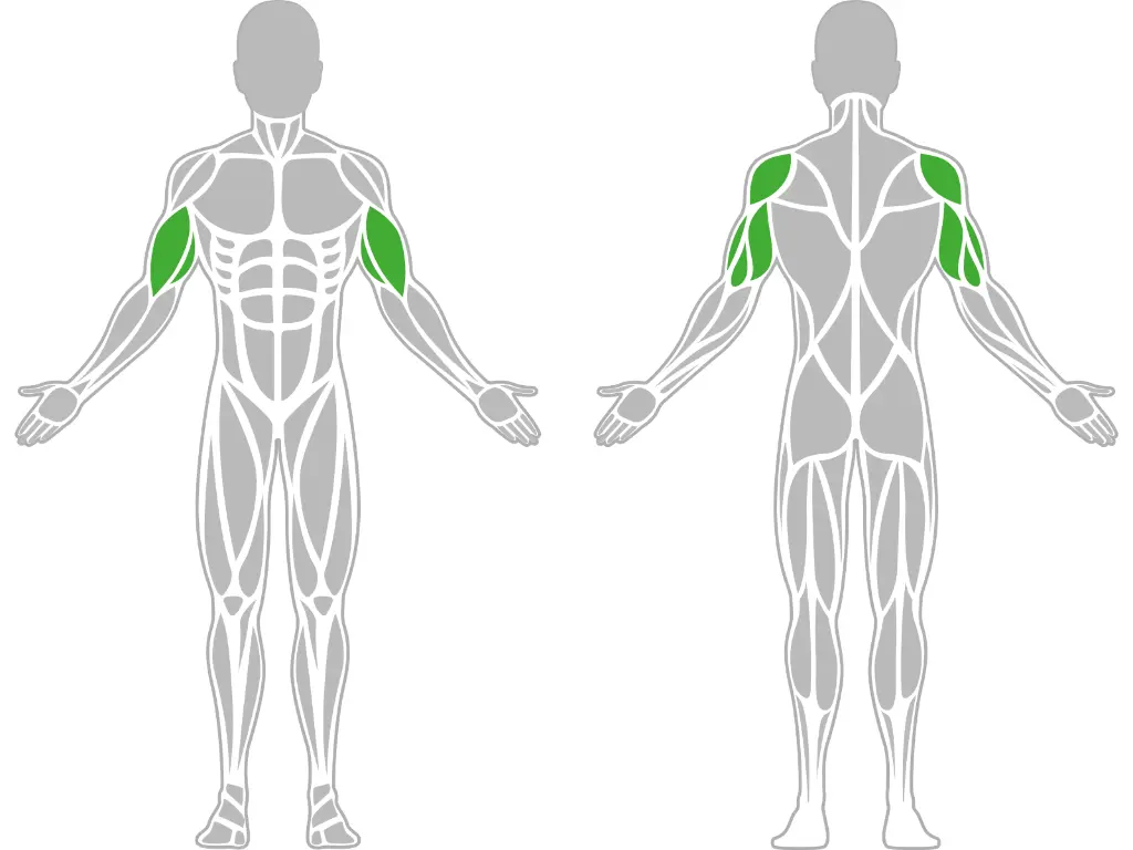 1-1-307-Recumbent Bike-BeStrong_muscle.webp