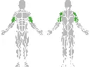 1-1-307-Recumbent Bike-BeStrong_muscle.webp