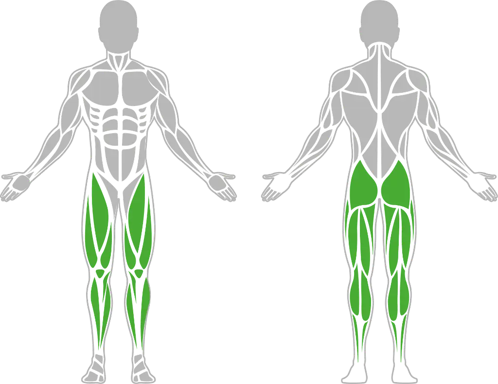 1-1-315 Mechanical Stepper-BeStrong_Muscle.webp