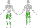 1-1-315 Mechanical Stepper-BeStrong_Muscle.webp