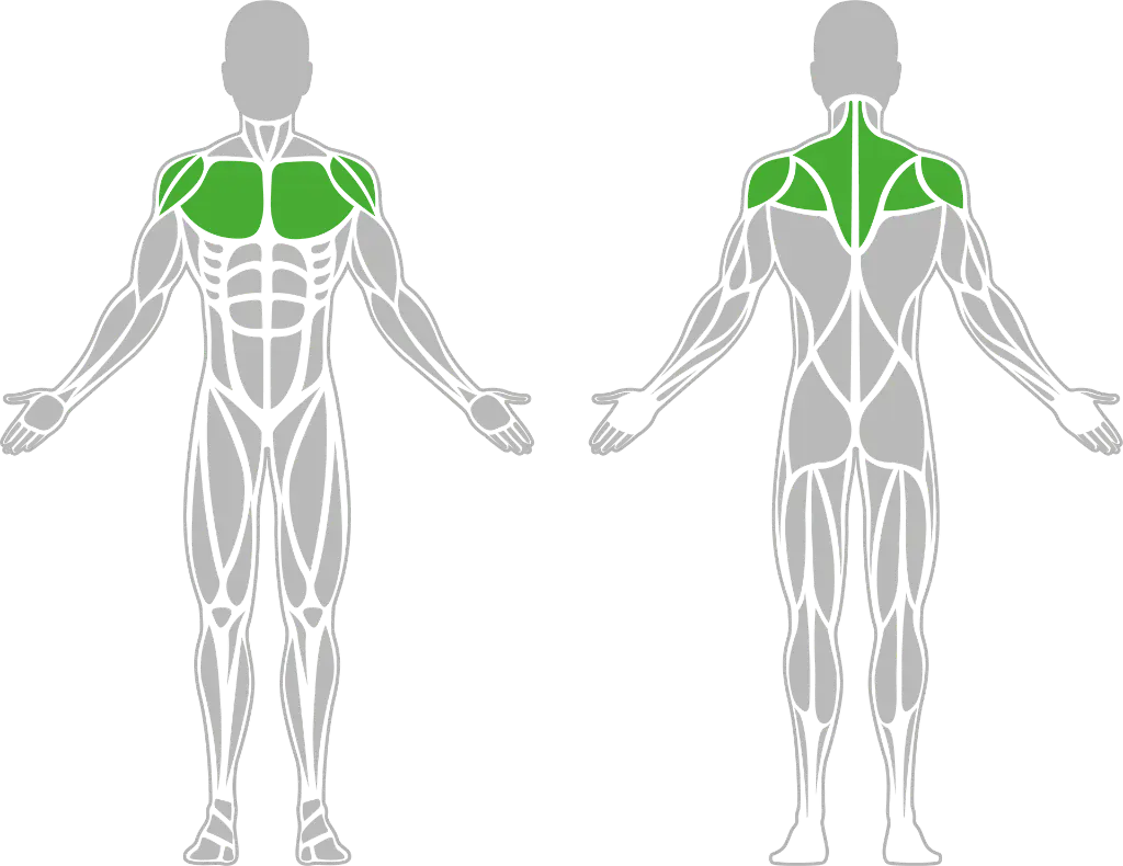 1-1-316 Tai Chi Wheel-BeStrong_Muscle.webp