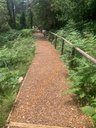 Grevelwood