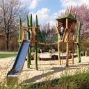 Foresta d'arrampicata