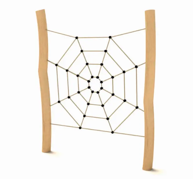 Miniclimber spider in robinia