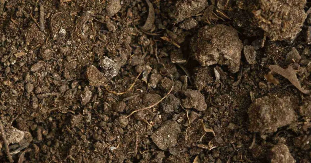 Fornitura di terreno fine per rifilatura piano di campagna