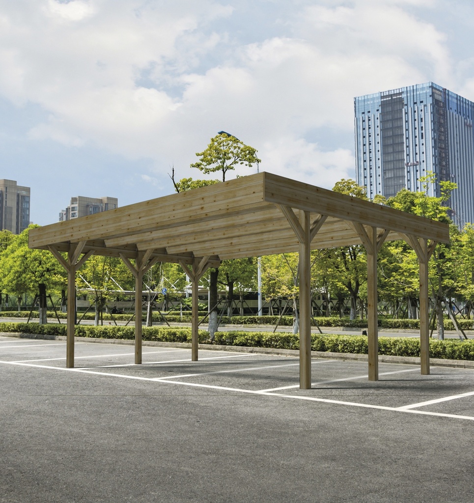 [AUCR0032] Carport Doppio