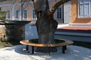 Panchina RADIANO a parete / diretta 1792mm / acciaio zincato + verniciato a polvere / legno di abete