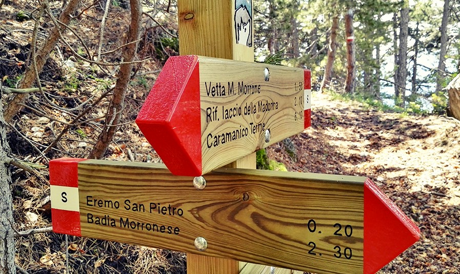 Freccia con punta direzionale in pino impregnato 80x11,5x4,5 cm.