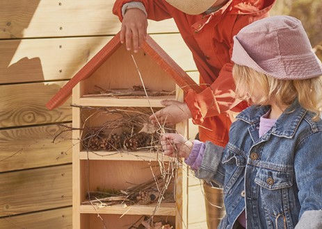 Bug hotel educativo