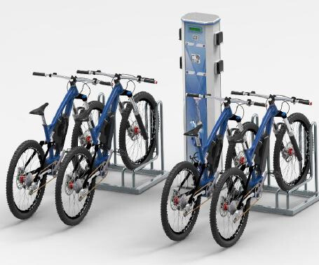 Rastrelliera porta bici Professional (x2)