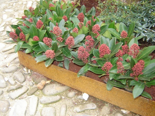 Cordolo in acciaio Corten BordTop