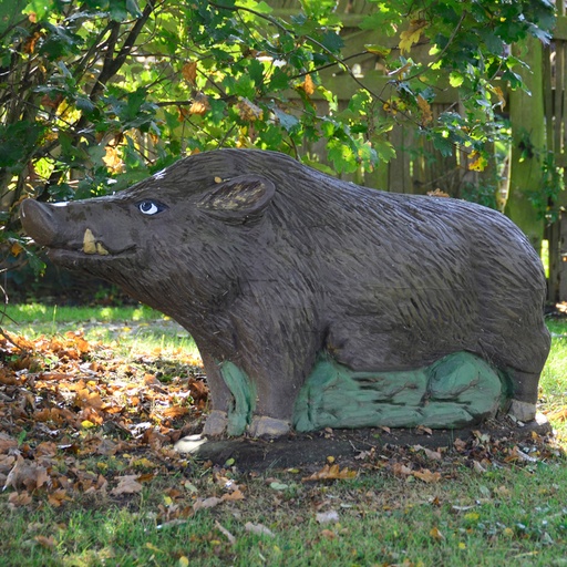 Cinghiale 