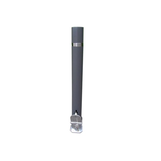 Dissuasore DS010 amovibile